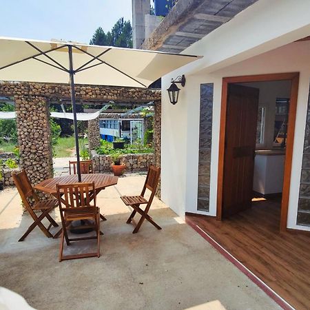 Casa Florestal - Pure Nature Cabins Fatela المظهر الخارجي الصورة